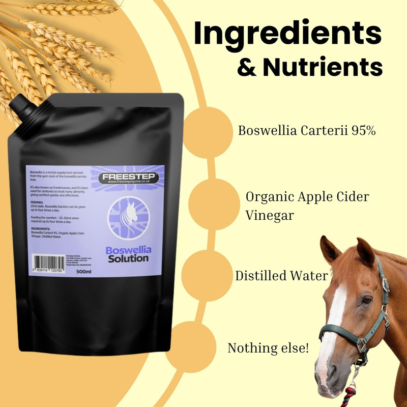 Liquid Boswellia Serrata For Horses
