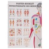 Physiotherapy of Man Mini Poster Booklet Anatomy 34 x 24