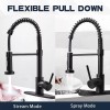 ZSW Kitchen Faucets with Pull Down Sprayer Black Spring Commercial
