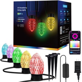 APPECK Smart Christmas Lights C9, 17FT 25 LED Outdoor String Lights, Work with Alexa and Google Assistant, Outdoor String Lights for Patio Xmas Tree Roofline Party Indoor