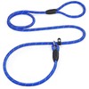 PETESCORT Dog Leash, Heavy Duty 1/2" 3/8" x 6 FT