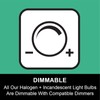 G9 Bulb, 12 Pack G9 Halogen Light Bulbs 2 Pin
