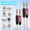 TEKERA Speaker Cable with Banana Tip Plugs, 1M Speaker Cable