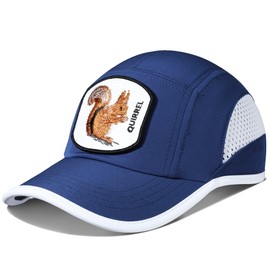 GADIEMKENSD UPF50+ Embroidered Patch or Plain Baseball Cap with Breathable Mesh, Dry Fit Running Hat for Men, Cool Workout Hats for Women, Quick-Dry Sport Cap for Tennis Gym Hiking Blue Squirrel