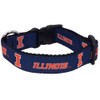 College Dog Collar (Large, Illinois)