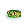 Lékué Airtight Container for Transporting and Preserving Food, Polypropylene, Turquoise,