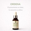 Herbolare Romero Español 10 ml, Aceite Esencial 100% Puro