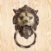 CHAKRIK Black Antique, Brass, Ring Door Knocker (Brass Lion Knocker