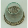 8 Inch Diameter Glass Terrarium Vase with Wicker Base