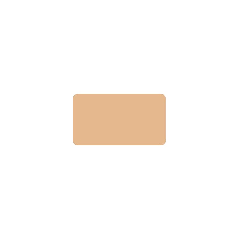 Vanal Silky Rich Foundation (Pink Beige), 0.4 oz (12 g)