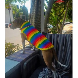 Pittie Clothing Pit Bull Muscle Tee for Dog Breed Dog Shirts Pet Printed Clothes Cool Funny