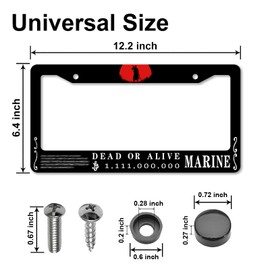 DGDRHZ Anime one Wanted 1，111，000，000 License Plate Frames，Anime Piece Car Accessories for Women & Men，Aluminum License Plate Frame Fits Standard US Vehicles Size 12.2 x 6 Inch (Black-01)