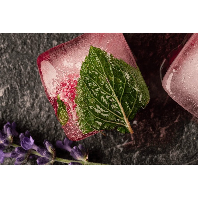 SALLYS Ice Cube Tray - Holds up to 12 Cubes