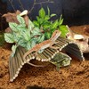 BNOSDM Large Reptile Hide Tortoise Hideout Bearded Dragon Wooden Bridge