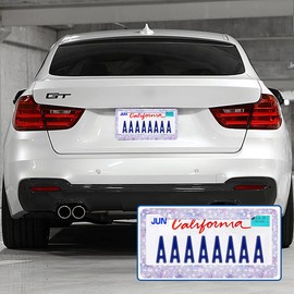 Swono Floral Purple License Plate Frame Purple Flowers with Buds and Small Light Blue License Plate Cover Aluminum Metal License Plate Holder Frame for Women Men Auto Decoration for US Car/Truck