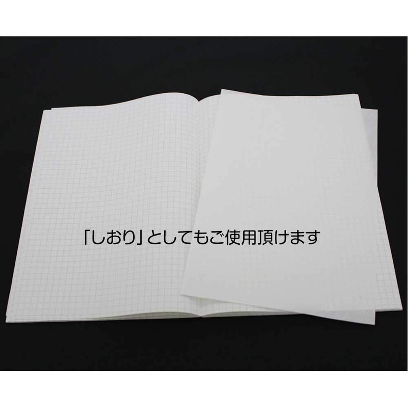 SAKAE BWA-SA5 Technical Paper Suction Paper, Semi-A5 Size, 10 Sheets,
