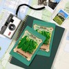 Peas (extra early alaska) Seed Packet (4x6 Birch Wood Postcards,