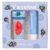 Balsamo Para Labios Hidratante Vaselina + Exfoliante 6 Duos