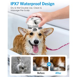 AMIR Electric Scalp Massager, Handheld Pet Massager for Dogs and Cats, Cat Head and Back Scratcher with 3 Speed Modes, 4 Massage Heads, Waterproof Electric Cat Massage Tool for Promote Bonding