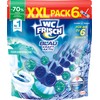 WC FRISCH Kraft Aktiv Duftspüler Blau Ozeanfrische 6er 6x50g
