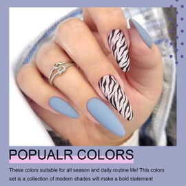 Arte Clavo Gel Nail Polish Set - 6 Colors Classic Blue Uv Gel Nail Polish Black Grey Glitter Gel Polish Kit Soak off Uv Nail Lamp Gel Polish Gel Nail Manicure Kit DIY Nail Design S605