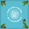 3er-Pack Le Petit Marseillais Duschgel mit Pinien und Eucalyptus