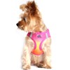 Ultra Choke Free Step in Reflective Dog Harness American River