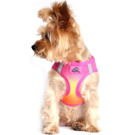 Ultra Choke Free Step in Reflective Dog Harness American River Ombre Raspberry Pink Orange (Large)