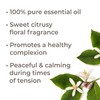 Plant Therapy Neroli Essential Oil 2.5 mL (1/12 oz) 100%