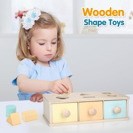 Wisplye Montessori Toy from 1 Year, Shape Sorting Toy, Wooden Sorting Game Object Permanent Box Baby Educational Toy Motor Skills Toy Gift for Boys Girls 2 3 4 5 Years