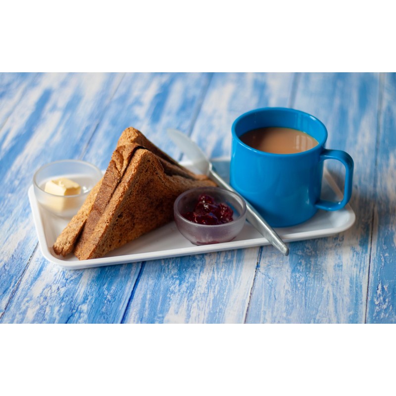 Harfield Antibacterial Individual Serving Purple Food Platter (Pack of 2)