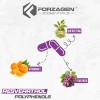 Forzagen Essentials Resveratrol+polyphenols 60 Caps | Vita C Sabor Sin