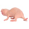 VBESTLIFE Plastic Mole Figure, Plastic Mole Figure, Toy Simulation, Static