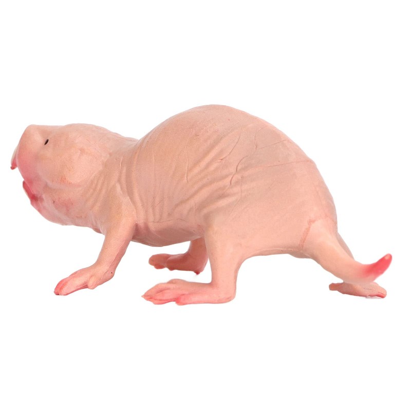 VBESTLIFE Plastic Mole Figure, Plastic Mole Figure, Toy Simulation, Static