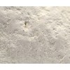 EISCO Chalk Limestone Specimen (Sedimentary Rock), Approx. 1" (3cm)