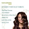 Naturtint Root Retouch Shades, Dark Blonde