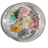 Set of 48 Handmade Mini Pressed Flowers, Dried Flowers, Small,
