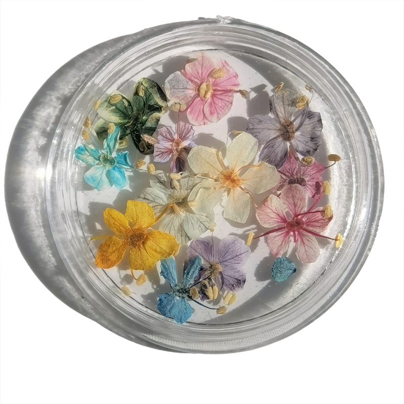 Set of 48 Handmade Mini Pressed Flowers, Dried Flowers, Small,