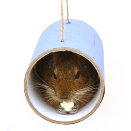 Chewchewbs Totally Degu 4 pack (Blue)