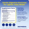 Enzymedica Digest Basic Cápsulas Enzimas Digestivas Suplemento