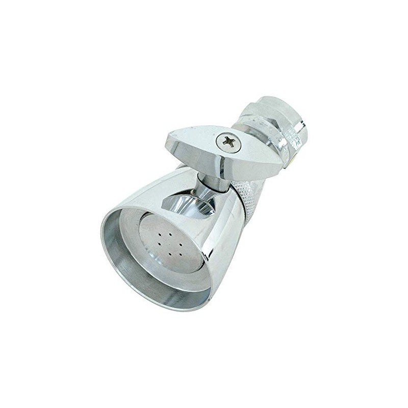 EZ-FLO Adjustable Shower Head, 1-3/4 Inch Face, 2 GPM, Brass