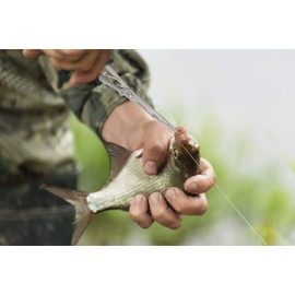 Long Nose Fishing Pliers,Ice Fishing Gear,Stainless Steel Hook Remover Braid Cutter Rustproof Fishing Multi-Tools Fishing Gripper for Freshwater Saltwater | Hikary