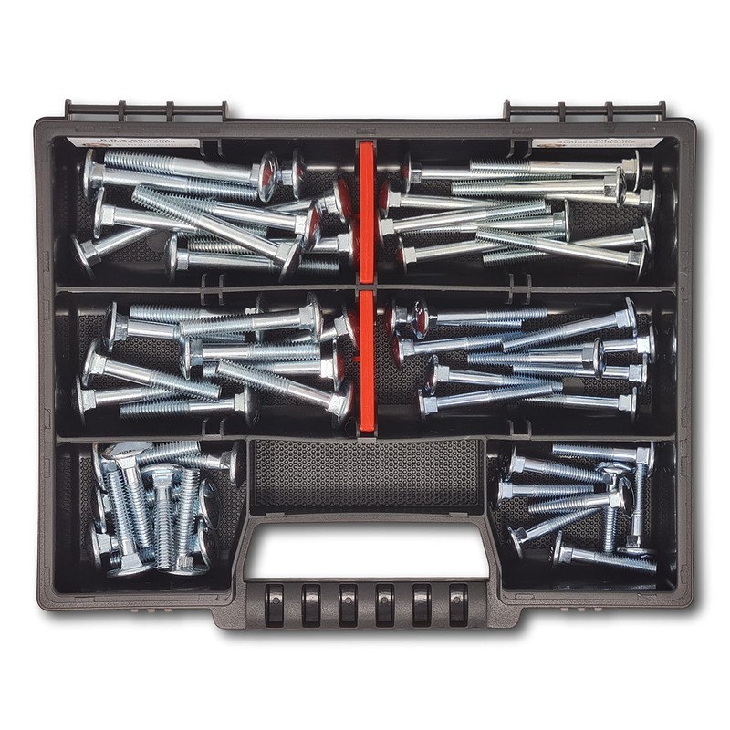 60-Piece Round-Head Screw Carriage Screws - S Box // Screw