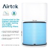 AIRTOK Air Purifier AP1001 Replacement Filter, 5-Layer Purification System, H13