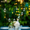 NUPTIO 20 mm Clear Crystal Ball Prism - Pack of