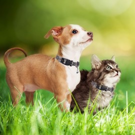 Leopard Print Dog Collars for Small Dogs with Bell, Pretty Cheetah Tiny Puppy Collars Girl Cat Collar with Bells for XS Small Little Pet Female Dogs, Brown S