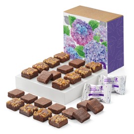 Fairytale Brownies Spring SUGAR-FREE Magic Morsel 24 Individually Wrapped Gourmet Chocolate Food Gift Basket - 1.5 Inch x 1.5 Inch Bite-Size Brownies - 24 Pieces - Item CR524SP