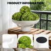 ehuoyan Moss Bowl 6 Moss Balls Decorative Dining Table Centerpiece