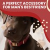 iDoggos - Dog Collar I Handcrafted Pet Accessory I Long-Lasting
