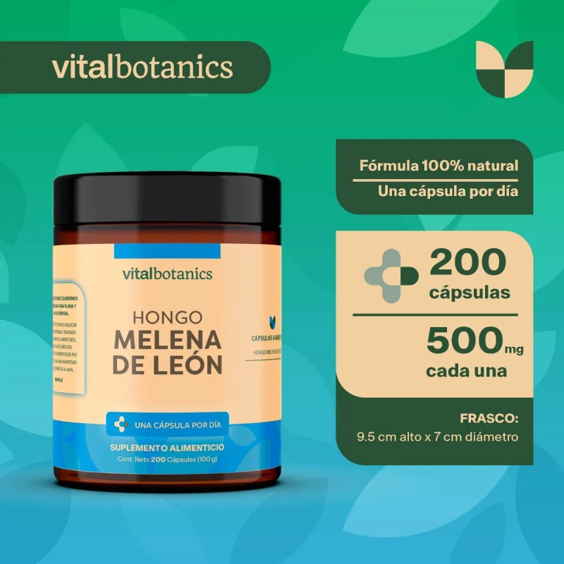 Hongo Melena De Leon Nootropico 200 Capsulas | Vitalbotanics